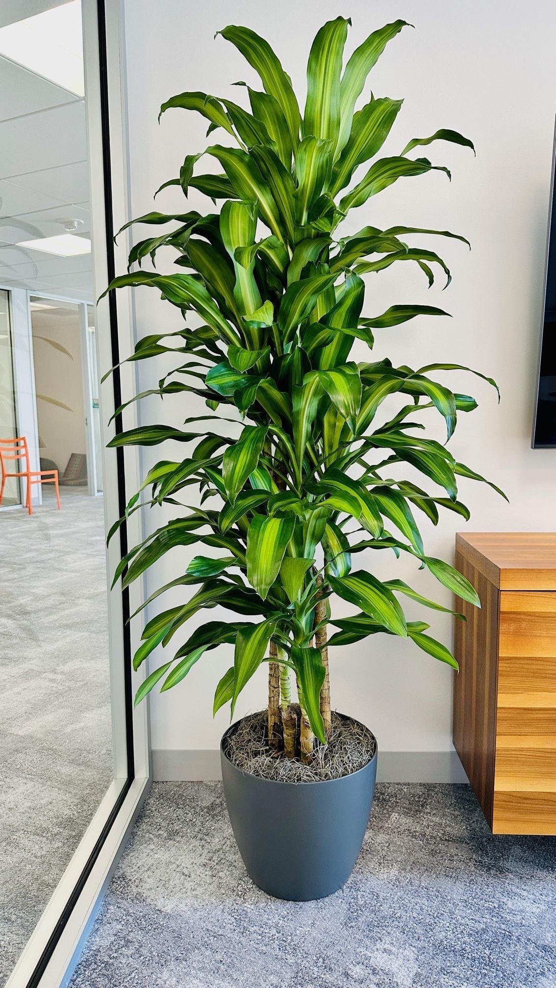 5ec3e085-1e28-485b-98bc-117ec5a6340c