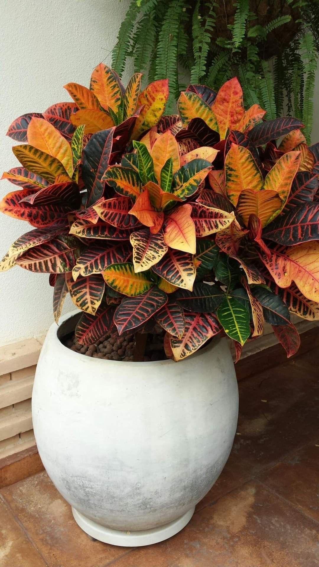 e11bd0b1-a501-4420-98af-fe3d2eaf6363